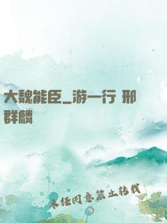 大魏能臣